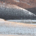 ֮