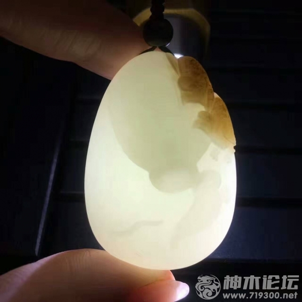 QQͼƬ20170309091721.jpg