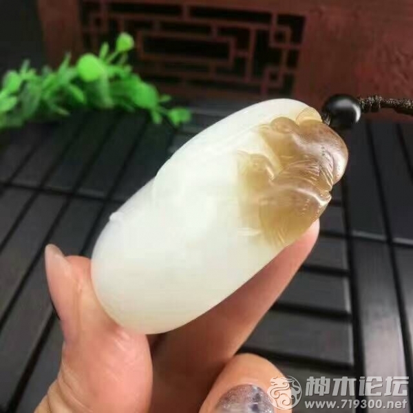 QQͼƬ20170309091742.jpg