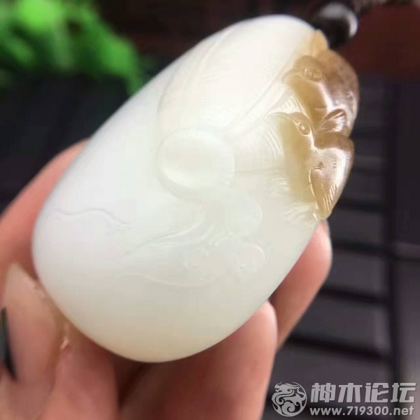 QQͼƬ20170309091751.jpg