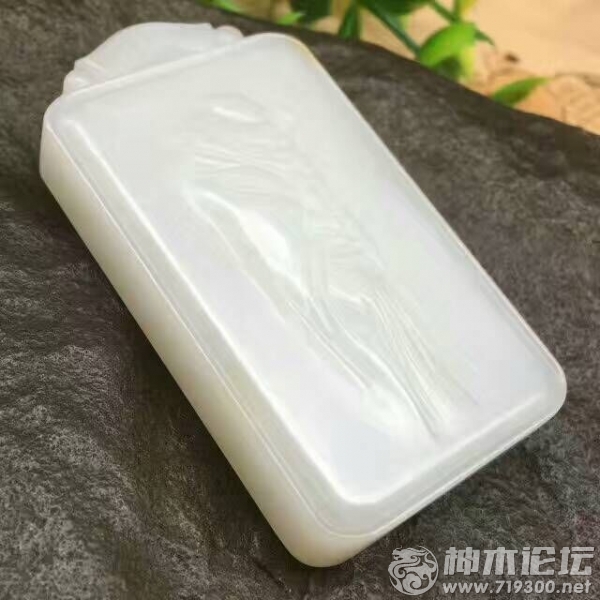 QQͼƬ20170505163702.jpg